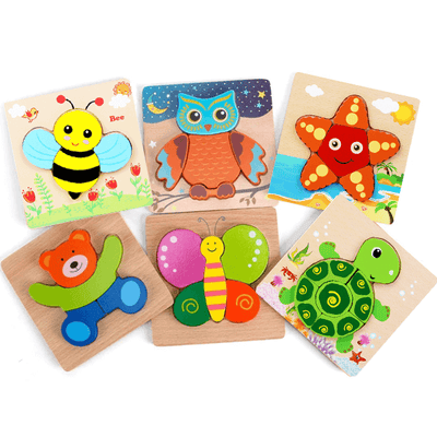 Montessori 6 pack puzzles